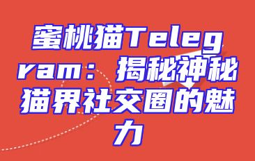 蜜桃猫Telegram：揭秘神秘猫界社交圈的魅力