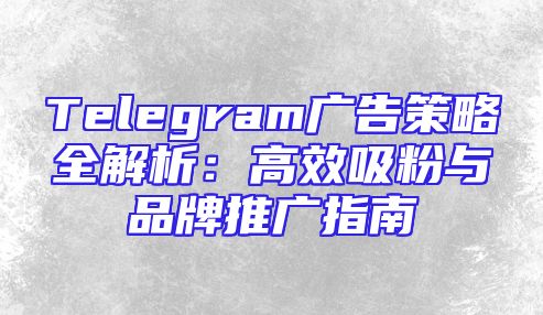 Telegram广告策略全解析：高效吸粉与品牌推广指南
