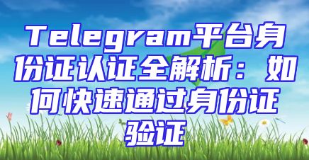 Telegram平台身份证认证全解析：如何快速通过身份证验证
