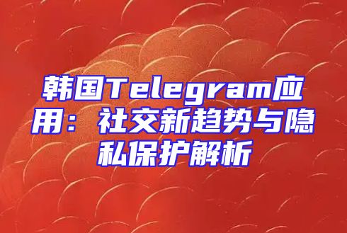 韩国Telegram应用：社交新趋势与隐私保护解析