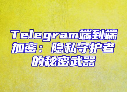 Telegram端到端加密：隐私守护者的秘密武器