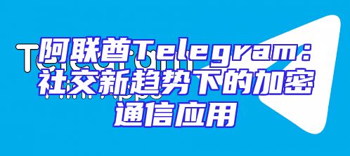 阿联酋Telegram：社交新趋势下的加密通信应用