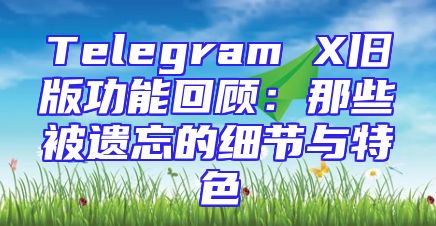 Telegram X旧版功能回顾：那些被遗忘的细节与特色