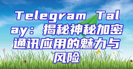 Telegram Talay：揭秘神秘加密通讯应用的魅力与风险