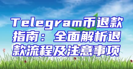 Telegram币退款指南：全面解析退款流程及注意事项