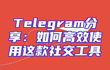 Telegram分享：如何高效使用这款社交工具