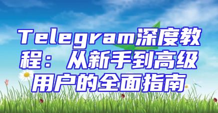 Telegram深度教程：从新手到高级用户的全面指南