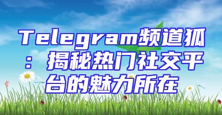Telegram频道狐：揭秘热门社交平台的魅力所在