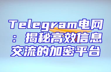 Telegram电网：揭秘高效信息交流的加密平台