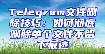 Telegram文件删除技巧：如何彻底删除单个文件不留下痕迹