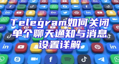 Telegram如何关闭单个聊天通知与消息设置详解