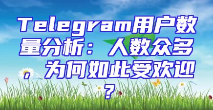 Telegram用户数量分析：人数众多，为何如此受欢迎？