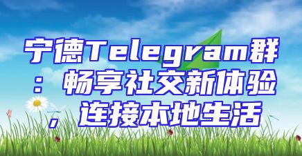 宁德Telegram群：畅享社交新体验，连接本地生活