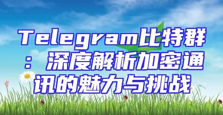 Telegram比特群：深度解析加密通讯的魅力与挑战