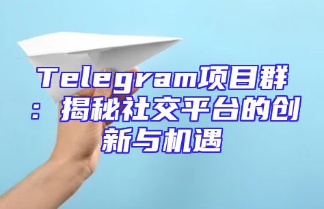 Telegram项目群：揭秘社交平台的创新与机遇