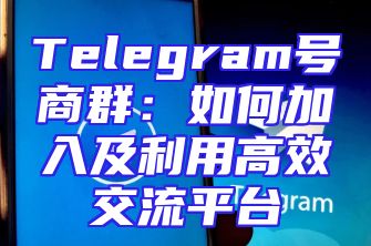 Telegram号商群：如何加入及利用高效交流平台