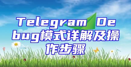 Telegram Debug模式详解及操作步骤