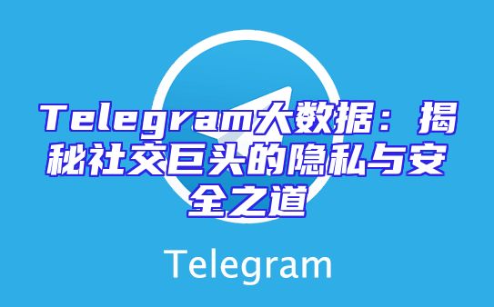 Telegram大数据：揭秘社交巨头的隐私与安全之道