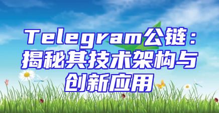 Telegram公链：揭秘其技术架构与创新应用