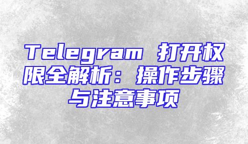 Telegram 打开权限全解析：操作步骤与注意事项