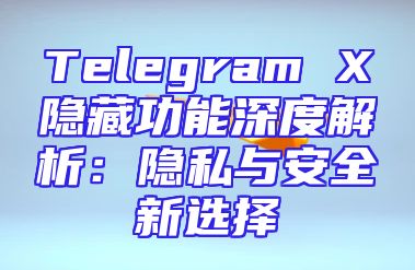 Telegram X隐藏功能深度解析：隐私与安全新选择