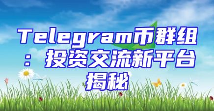 Telegram币群组：投资交流新平台揭秘