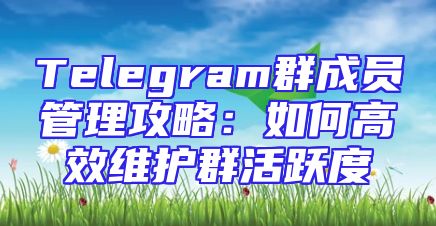 Telegram群成员管理攻略：如何高效维护群活跃度