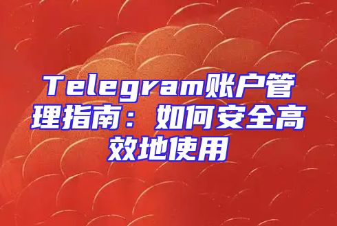 Telegram账户管理指南：如何安全高效地使用